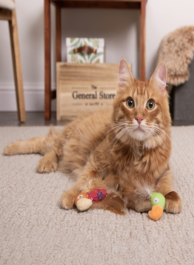 SmartyKat Instincts by SmartyKat 2-Pack HappyNip Love Mates Feather Birds Plush Cat Toys, Contains Catnip & Silvervine - Orange/Green, 2-Pack - Image 3